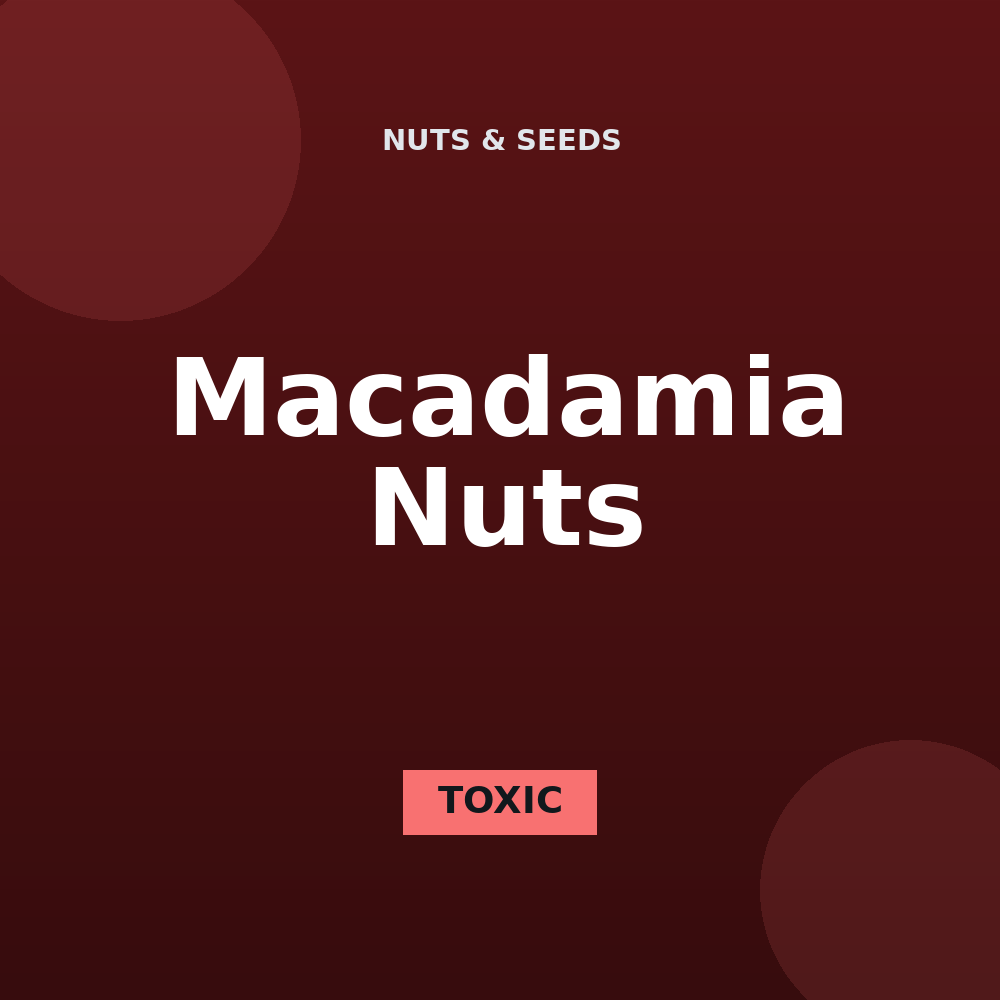 Macadamia Nuts